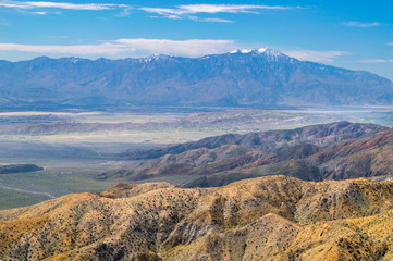Keys View, Joshua Trees in Joshua Tree National Park, Riverside County and San Bernardino County, California, USA