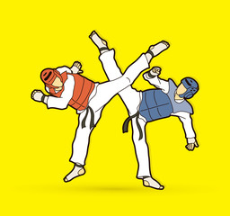 Taekwondo fighting graphic vector.