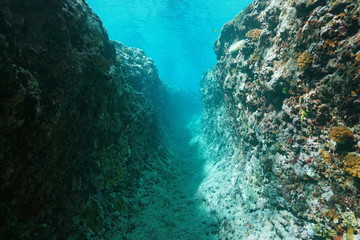 Naklejka na ściany i meble Underwater trench into the outer reef, Pacific ocean, French Polynesia