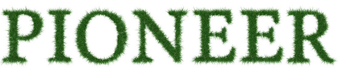 Pioneer - 3D rendering fresh Grass letters isolated on whhite background.