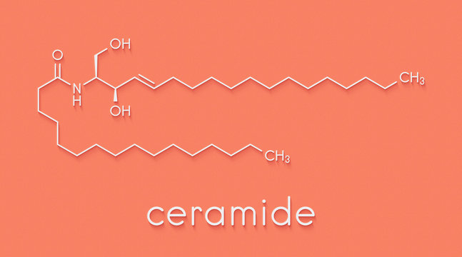 Ceramide Cell Membrane Lipid Molecule. Skeletal Formula.