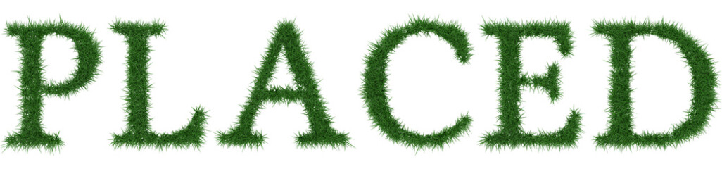 Placed - 3D rendering fresh Grass letters isolated on whhite background.