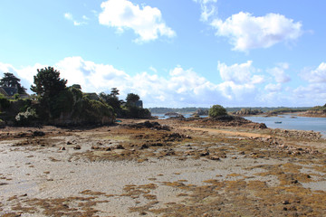 Fototapeta na wymiar Côte de granit rose île de Bréhat Bretagne