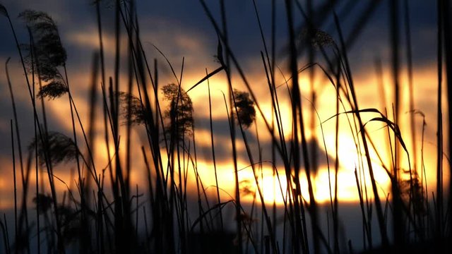 Tramonto sul lago di Oggiono