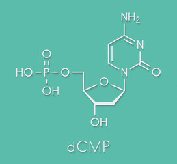 Deoxycytidine monophosphate (dCMP) nucleotide molecule. DNA building block. Skeletal formula.