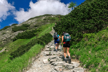 Fototapeta premium Tourists hiking on the rocky path in Tatra mountains, Poland