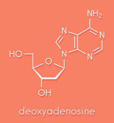 Deoxyadenosine (dA) nucleoside molecule. DNA building block. Skeletal formula.