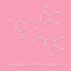 Epigallocatechin gallate (EGCG) green tea polyphenol molecule. Has antioxidant properties and may...