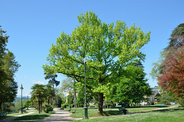 Park Beaumont in the French city Pau