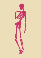Obraz na płótnie Canvas Confused human skeleton posing. Vector illustration. Halloween party design template