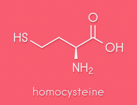 Homocysteine (Hcy) biomarker molecule. Increased levels indicate elevated risk of cardiovascular disease. Skeletal formula.