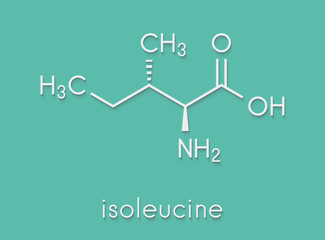 Isoleucine (L-isoleucine, Ile, I) amino acid molecule. Skeletal formula.