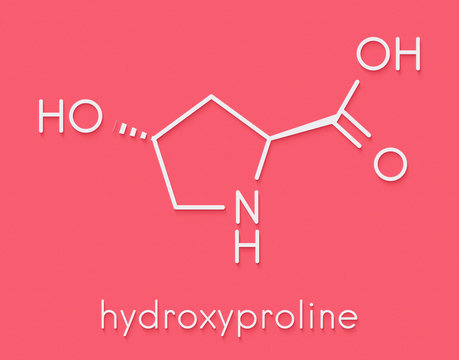 Hydroxyproline (Hyp) amino acid. Essential component of collagen. Skeletal formula.