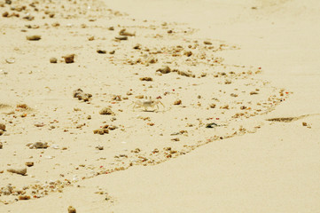 Footprints in the sand along beautiful golden beach