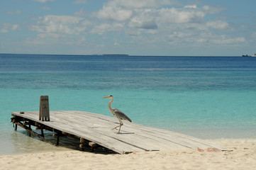 Crystal clear blue waters of the Indian Ocean, view from beach on golden sands in the Maldives