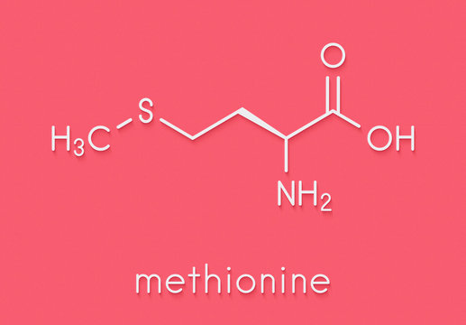 Methionine (l-methionine, Met, M) amino acid molecule. Skeletal formula.