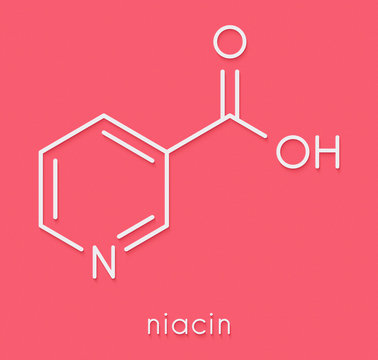 Vitamin B3 (niacin) molecule. Skeletal formula.