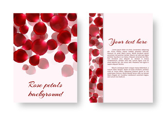 Greeting card with red flying rose petals and place for text. Vector illustration with a floral pattern.
