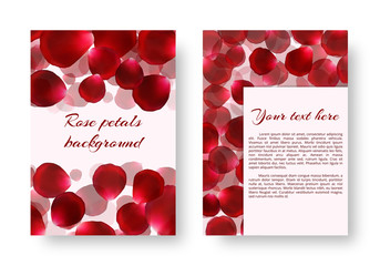 Background for drawing greeting cards with rose petals. Vector design with borders from floral elements.
