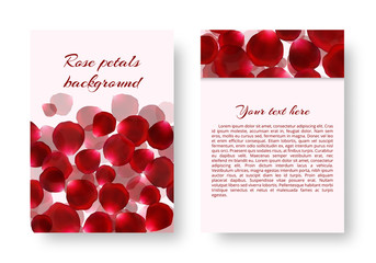 A leaflet pattern with falling red rose petals. Vector backdrop with a floral pattern.
