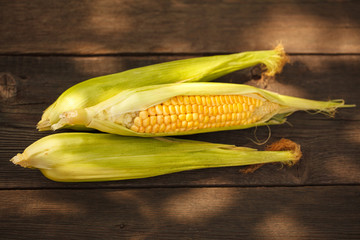Corn corn on wooden texture. Space for text. Harvest.