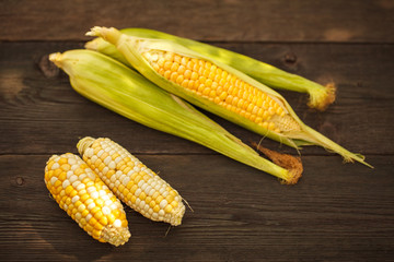 Corn corn on wooden texture. Space for text. Harvest.