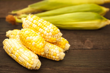 Corn corn on wooden texture. Space for text. Harvest.