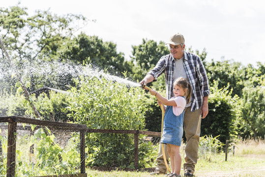 Grandfather and granddaughter in the garden watering plants