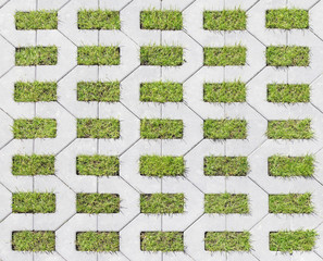 Tiles with grass