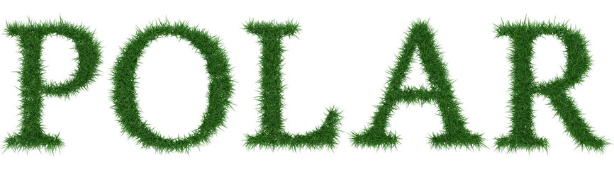 Polar - 3D rendering fresh Grass letters isolated on whhite background.