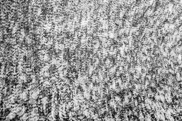 Black and white autumn background