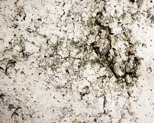 detail cracks on old concrete