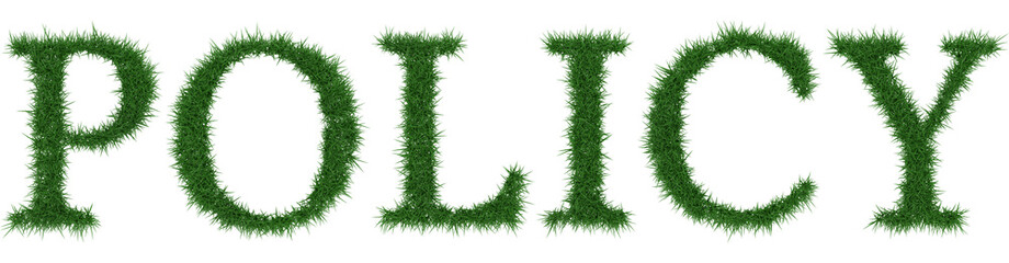 Policy - 3D rendering fresh Grass letters isolated on whhite background.