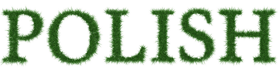 Polish - 3D rendering fresh Grass letters isolated on whhite background.