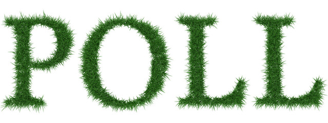 Poll - 3D rendering fresh Grass letters isolated on whhite background.