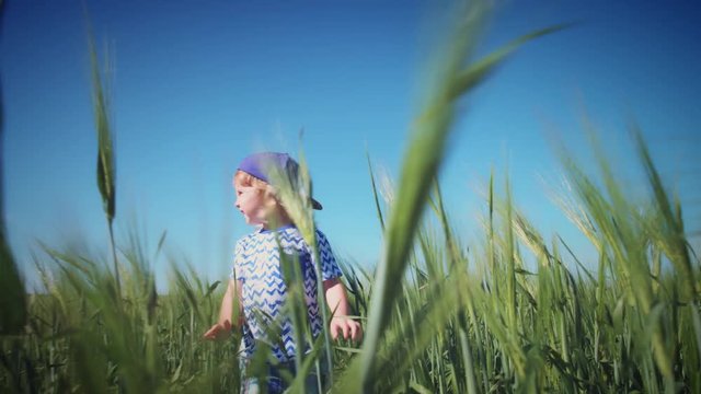 4k Happy Child Running in Wheat Fields