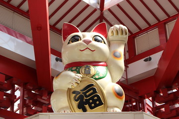 lucky cat (maneki neko) in Japan