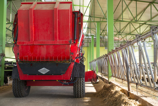 dairy cow distributes hay to machine