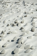 paisaje marciano en las dunas marinas