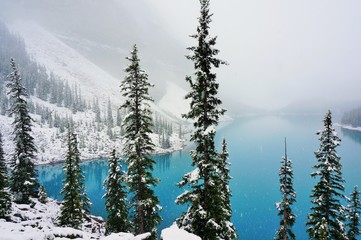 Lake Louise & Moraine Lake