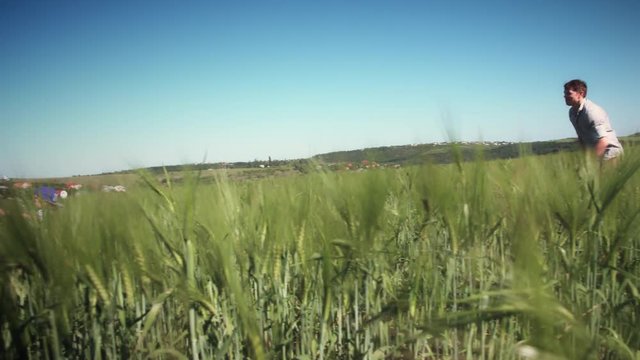 4k Dad Running after Small Son in Wheat Fields