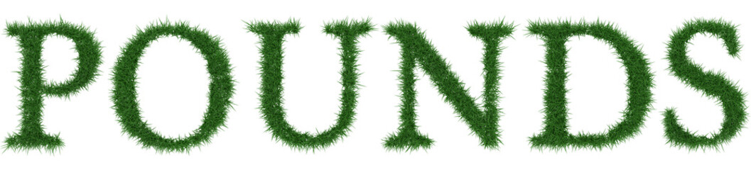 Pounds - 3D rendering fresh Grass letters isolated on whhite background.
