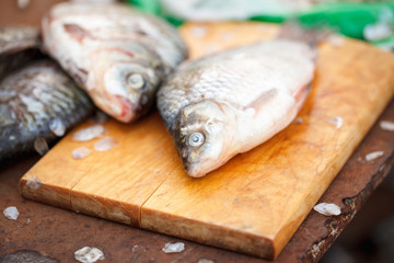River cleaned fish, catch.