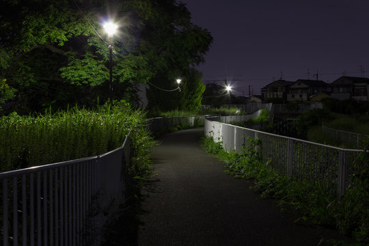 川沿いの堤防の夜道