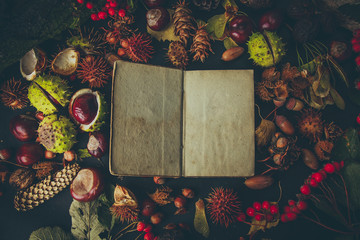 Dark Autumn background flat lay with old open book and forest fruits - 171756459