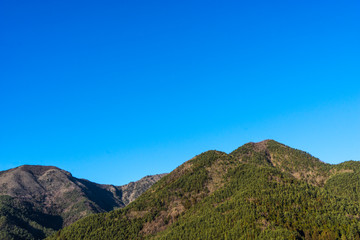 Fototapeta na wymiar green forest mountain and clear blue sky