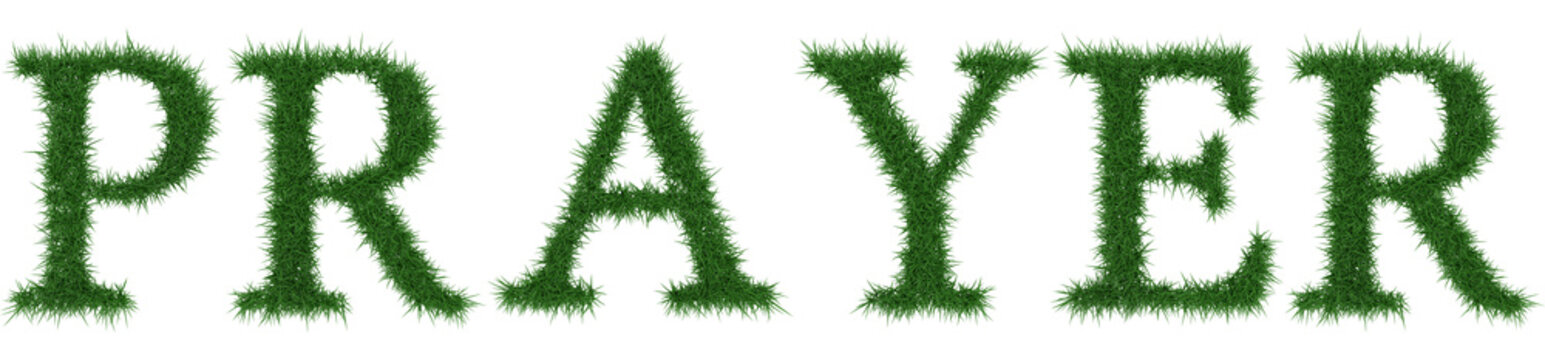 Prayer - 3D rendering fresh Grass letters isolated on whhite background.