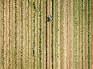 Aerial of Farmland