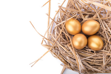 Golden egg inside a nest isolated on white background