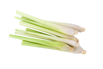 Fresh Lemongrass isolated on white background. Top View